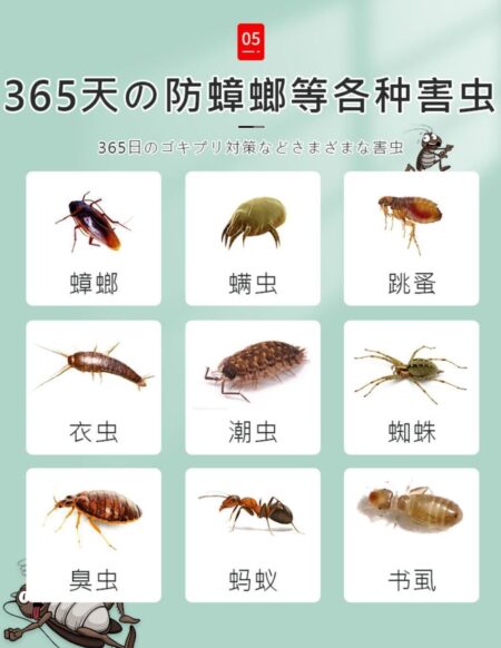 Alternative view of Mixed Floral Fragrance - 48 peces